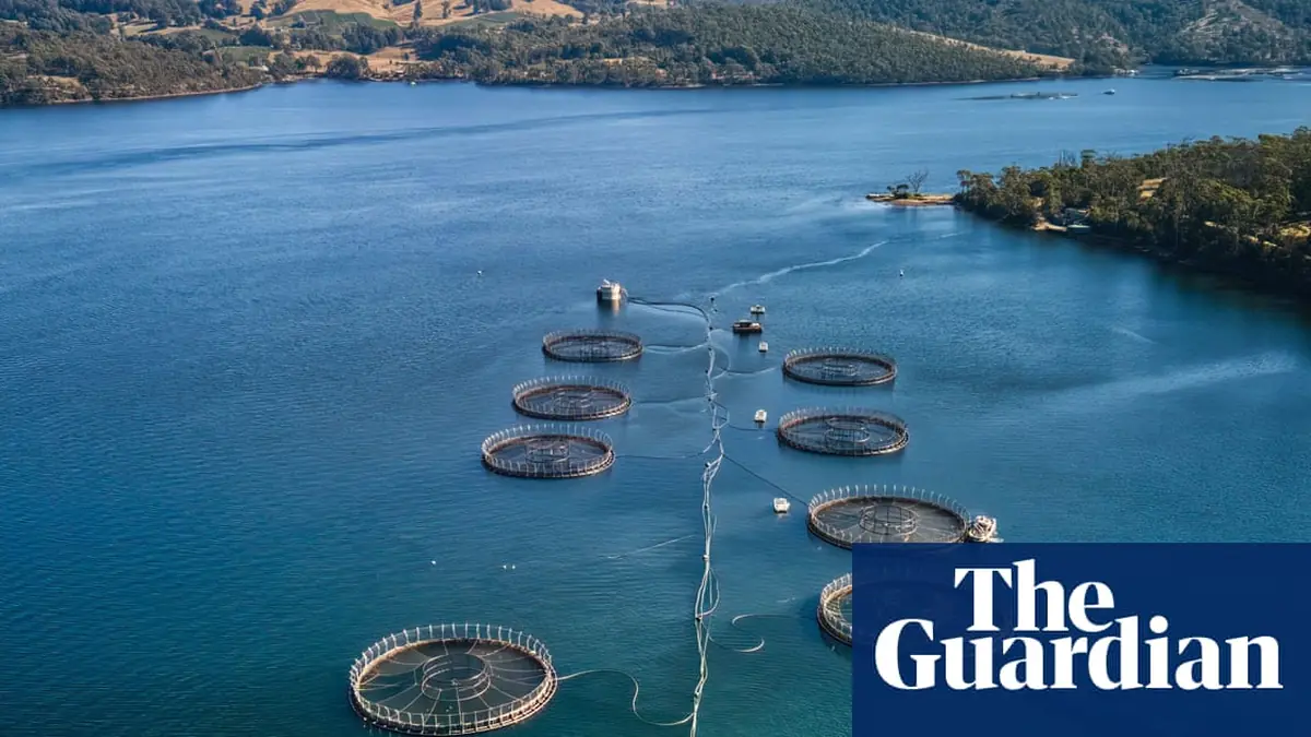 More than 150,000 underwater explosives used to deter seals at Tasmanian salmon farms since 2016