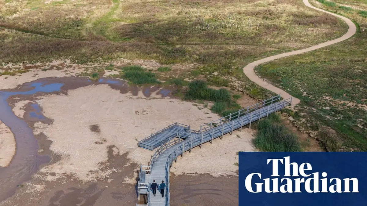 Skylarks and sandwich terns among new birdies on reserve created from ‘boring old golf course’